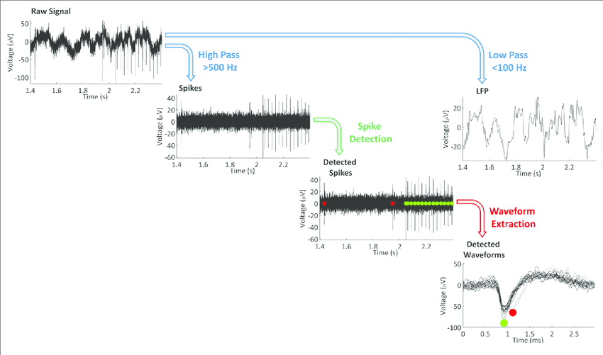 Research & Development
